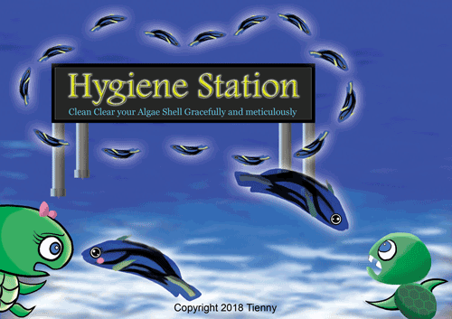 Hygiene Station